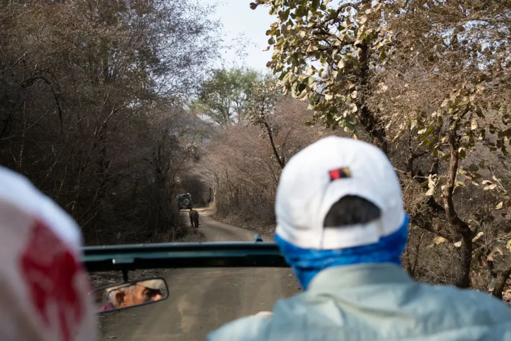 Zone 7 ranthambhore national park Sawai Madhopur Rajasthan India